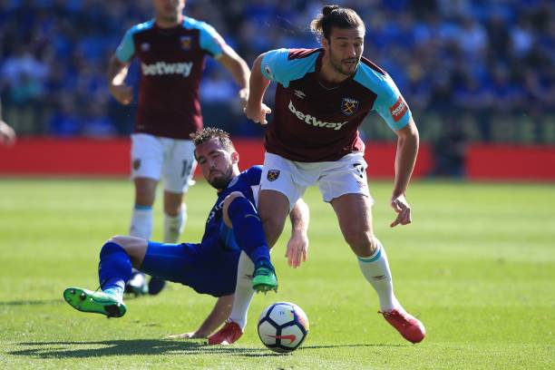 木这两个项 木这两个项